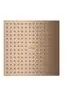 AXOR-HG-AXOR-ShowerSolutions-Kopfbrause-250-250-1jet-Decke-Brushed-Red-Gold-35309310 gallery number 1